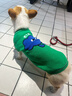 MIKI PAD狗狗衣服春秋條紋針織背心貓咪衣服寵物小型犬透氣比熊泰迪雪納瑞 萌趣云朵毛衣 M 胸圍38cm(參考體重7-10斤) 曬單實(shí)拍圖