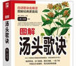 圖解湯頭歌訣 中醫古方全解析，照方抓藥不猶疑！445個(gè)民間古方更直白的精細解讀，中醫古籍學(xué)習不求人。制藥煎湯，分門(mén)別類(lèi)，圖文共解 曬單實(shí)拍圖
