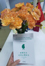 蛤蟆先生去看心理醫(yī)生正版零基礎心理咨詢入門書跟著青蛙先生去看心里醫(yī)生原版中文版癩蛤蟆哈嗼哈莫哈瑪哈馬哈默心理學書籍暢銷書 曬單實拍圖
