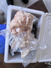 新鮮山羊油純羊油 食用羊油 火鍋底料 燒烤 原味 三斤 曬單實(shí)拍圖