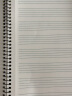凯萨(KAISA)五线谱本A4/50张音乐练习本大间距学生乐器乐谱本 钢琴吉他儿童练琴本 两本装 实拍图