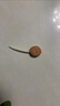 Petio派地奧狗狗零食 磨牙棒耐咬雞肉棒棒糖 雞肉干寵物零食 雞肉棒棒糖12支 曬單實(shí)拍圖