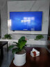 创维电视85A5D 85英寸电视机80-100英寸S+级原彩抗光屏288Hz一级能效巨幕大屏液晶游戏十大品牌电视 实拍图