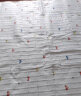 彩虹电热毯双人电褥子（长1.5米宽1.2米）无纺布小型自动断电宿舍除螨 实拍图