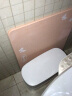 乐来福（REALLIFE） 硅藻泥地垫硅藻土浴室地垫浴室防滑垫吸水地垫速干除臭淋浴房 吸水硬垫-蝴蝶粉  赠防滑布 实拍图