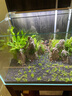 玩家寶貝水草泥亞馬遜種植泥黑泥水晶蝦泥小魚(yú)缸布景水草缸底沙含肥魚(yú)缸底 水草泥-2包（共4斤） 曬單實(shí)拍圖