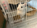 威毕兔笼兔子笼家用室内专用大号荷兰猪豚鼠松鼠刺猬小型狗笼方便清粪 白色中号-8件套 实拍图