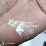 VEZE面膜女美白抗皺緊致衰老補(bǔ)水面膜媽媽用抗皺紋細(xì)紋收毛孔提亮膚色 美白1盒+抗皺面膜1盒共20片 曬單實(shí)拍圖