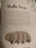 DK典藏博物館 圖解百科大自然的奇跡 The Wonders of Nature 英文原版進口圖書 動植物插圖科普集  自然界巖石礦物 曬單實拍圖