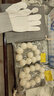 芠拉【芠拉】大菩提根手串 精挑白玉菩提根單圈文玩手串13-27mm 約24mm DBZ 曬單實拍圖