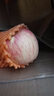 洛川蘋(píng)果（luochuanapple）【順豐】正宗陜西延安洛川蘋(píng)果華碩蘋(píng)果產(chǎn)地直發(fā)脆甜多汁能帶皮吃 12枚70mm 迷你果 白領(lǐng)裝 彩箱 曬單實(shí)拍圖