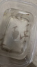 喂烏龜魚苗小魚苗食蚊魚麥穗魚練手魚苗活體飼料金銀龍魚包活魚苗批發(fā) 飼料魚2/3厘米30條送20%防損 曬單實(shí)拍圖