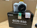 佳能（Canon）佳能r50 微单相机 轻量小型 R50 APS-C画幅 高速连拍 EOS R50 18-45 STM白色套机 套餐一【基础礼包限量升级64G佳能相机专用卡】 晒单实拍图
