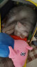 派乐特 逗猫激光笔猫玩具逗猫棒三合一幼猫的非神器小猫咪玩具 实拍图