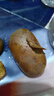 佳沛順豐發(fā)貨新西蘭佳沛金奇異果陽(yáng)光金果黃心獼猴桃新鮮進(jìn)口水果禮盒 8個(gè)裝（單果105-115g) 曬單實(shí)拍圖