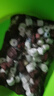 漁師傅魚缸過(guò)濾材料陶瓷環(huán)細(xì)菌屋生物珠玻璃環(huán)活性炭十合一濾材培菌環(huán) 標(biāo)配十合一 三斤+網(wǎng)袋 曬單實(shí)拍圖