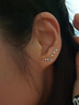 締晶999足銀十二星座耳釘女養(yǎng)耳洞耳環(huán)2024年新款小眾設(shè)計(jì)感高級耳飾 999足銀【雙子座】耳釘 曬單實(shí)拍圖