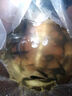 鯉魚苗活體淡水養(yǎng)殖魚苗批發(fā)附近本地特大建鯉稻花鯉魚紅尾稻田鯉魚魚苗批發(fā) 30條6-8厘米鯉魚苗【多發(fā)10%防損】 曬單實拍圖