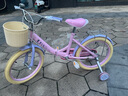 迪士尼聯(lián)名女孩自行車兒童3-6-8歲小孩單車4-8歲公主款女童自行車腳踏車 冰雪奇緣-艾莎【可折疊】禮包 18寸【建議身高115-130cm】 曬單實拍圖