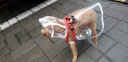 Lanswood 狗狗雨衣中大型犬宠物雨衣泰迪柴犬小型犬柯基金毛雨披防水透明 白边透明雨衣 S(建议3-6斤背长22cm) 实拍图