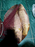 釣魚(yú)餌料野釣魚(yú)餌老壇酒糟發(fā)酵玉米小麥五谷雜糧野釣水庫鯉魚(yú)草魚(yú)青魚(yú)餌料窩料 5.8斤混合桶裝(濃酵香味) 曬單實(shí)拍圖