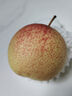 桃西村  正宗北京平谷佛見(jiàn)喜梨茅山果園直銷(xiāo)當季新鮮佛喜梨孕婦水果貢梨 正宗平谷佛見(jiàn)喜梨 5斤精選中小果12-14個(gè)普通箱 曬單實(shí)拍圖