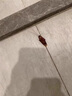 SHKAMAHA殺蟲(chóng)煙霧滅跳蚤家用室內去除蟑螂臭蟲(chóng)蜈蚣蒼蠅蚊子藥煙片熏殺蟲(chóng)劑 十八枚裝 曬單實(shí)拍圖