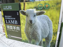 丁小宴錫盟羊肉禮盒 羊肉生鮮食材商務送禮禮盒 羊肉禮盒338型*2000g 曬單實拍圖