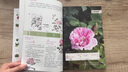 玫瑰花月季花圖鑒   700多種玫瑰花、月季花的鑒賞養(yǎng)護(hù)指南 曬單實拍圖