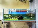 鱗趣水族魚(yú)缸磁吸造浪沖浪泵迷你底吹造浪器吹浪泵吹糞泵環(huán)流泵 造浪泵3W 曬單實(shí)拍圖