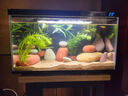 小米魚(yú)缸造景套餐仿真沉木造景石魚(yú)缸裝飾擺件水族箱造景 長(cháng)江石蘑菇屋造景 曬單實(shí)拍圖