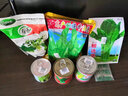 壽禾 油麥菜種子耐熱生菜農家四季蔬菜種孑播秋冬季菜種子小青菜菜籽 甜脆香油麥菜種子500g原裝 曬單實(shí)拍圖