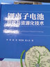 正版包郵 鋰離子電池回收與資源化技術(shù) 科學(xué)出版社 科學(xué)科普類書籍 環(huán)境科學(xué)讀物讀本書籍 圖書 曬單實(shí)拍圖