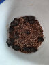 海豚龜糧烏龜飼料石金龜飼料巴西黃緣增色半水龜烏龜草龜幼龜糧 巨甲3號 祿龜 10kg 曬單實(shí)拍圖
