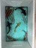 招財如意錦鯉冷水觀(guān)賞魚(yú)大型純種精品紅白三色招財魚(yú)好養耐活風(fēng)水魚(yú)活魚(yú) 十全十美（隨機顏色10條可指定） 17-19cm 曬單實(shí)拍圖