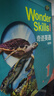 wonderskills奇跡英語 1-5階 北京科學技術(shù)出版社 奇跡英語北科社 奇跡英語wonder skills PET套裝（4～5階） 曬單實拍圖