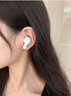魔浪FiiTii HiFiAir2真無(wú)線(xiàn)藍牙耳機ANC主動(dòng)降噪動(dòng)鐵入耳式圈鐵智能APP版高音質(zhì)耳機運動(dòng)蘋(píng)果安卓手機 HiFiAir2動(dòng)圈升級版 曬單實(shí)拍圖