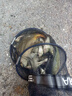 民間藝人魚(yú)漂套裝 鯽魚(yú)鯉魚(yú)高靈敏浮漂 野釣加粗醒目夜光漂套裝送禮帶漂盒 壹號漂鯽魚(yú)綜合五支套裝 曬單實(shí)拍圖