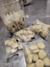 小棕熊敏寶無雞蛋無牛奶兒童軟餅干歲寶寶零食餅干發(fā)酵餅干松軟入口即化 原味松軟餅干（拍2送1果泥12元） 曬單實(shí)拍圖