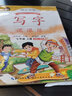 【配套教材】七年級上冊語文字帖初一同步練字帖部編版人教版七年級上冊字帖2025年寫字練字鋼筆描紅練習臨摹字帖 曬單實拍圖