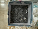 布卡星仓鼠浴沙活性炭尿砂2.2KG专用洗澡沙祛味沐浴盐小仓鼠用品 实拍图