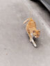 伊纳宝（INABA）妙好猫条猫零食湿粮 60g*12包 金枪鱼与扇贝柱 实拍图
