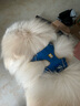 拉夫威爾ruffwear福朗特胸背狗狗胸背帶大小型犬拉布拉多背心式牽引背帶 墨池藍(lán) L/XL 曬單實(shí)拍圖
