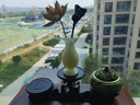 菲斯鉑亞天然玉石花瓶擺件干花插花花樽禮品佛前凈瓶賞瓶喬遷新居禮品 橘子玉富貴瓶一對 凈玉：8*16cm 曬單實拍圖
