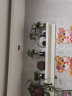 温馨满屋（V.S.M.V）办公室水培养生植物绿植室内盆栽好养活富贵竹九里香小盆栽 发财树+绿萝+创意新款盆 实拍图
