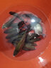 達億瓦（DAIWA） 實倍透XP 鯽魚線 尼龍線 臺釣線 子線主線母線 臺釣魚線手竿魚線 子線 0.4 曬單實拍圖