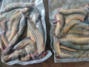 云映漁舟微山湖土泥鰍活魚(yú)發(fā)貨新鮮鮮活的青鰍黃鰍大板鰍小土泥鰍活體現殺 中號泥鰍（每斤20-30條）現殺發(fā) 2斤 曬單實(shí)拍圖
