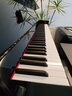 珠江鋼琴立式成人教學(xué)專(zhuān)業(yè)考級家用鋼琴PS3 曬單實(shí)拍圖