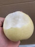 京詩悅河北皇冠梨 新鮮脆甜水果雪梨 孕婦特級白梨10斤精品手選果 5斤 精品大果 曬單實拍圖