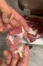裕明廚鮮肉切片機商用肉店火鍋店肉片機小型牛羊肉全自動(dòng)切片機腰子吊龍肉切肉機板筋熟食羊肉卷 鮮肉切片機全自動(dòng)7×12肉盒 曬單實(shí)拍圖